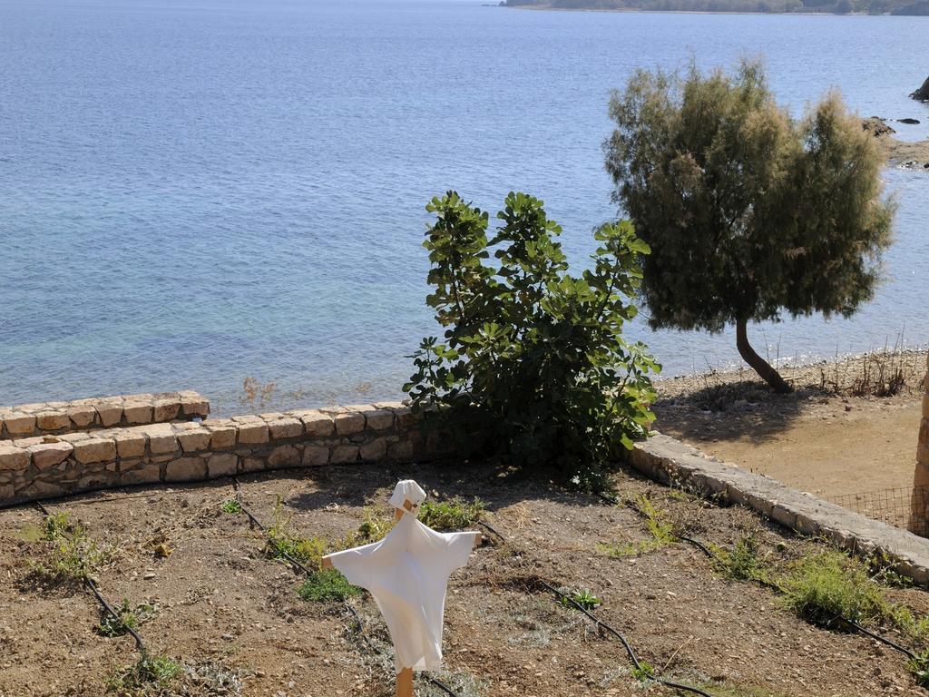 Onar Patmos Leilighet Grikos Bay  Eksteriør bilde